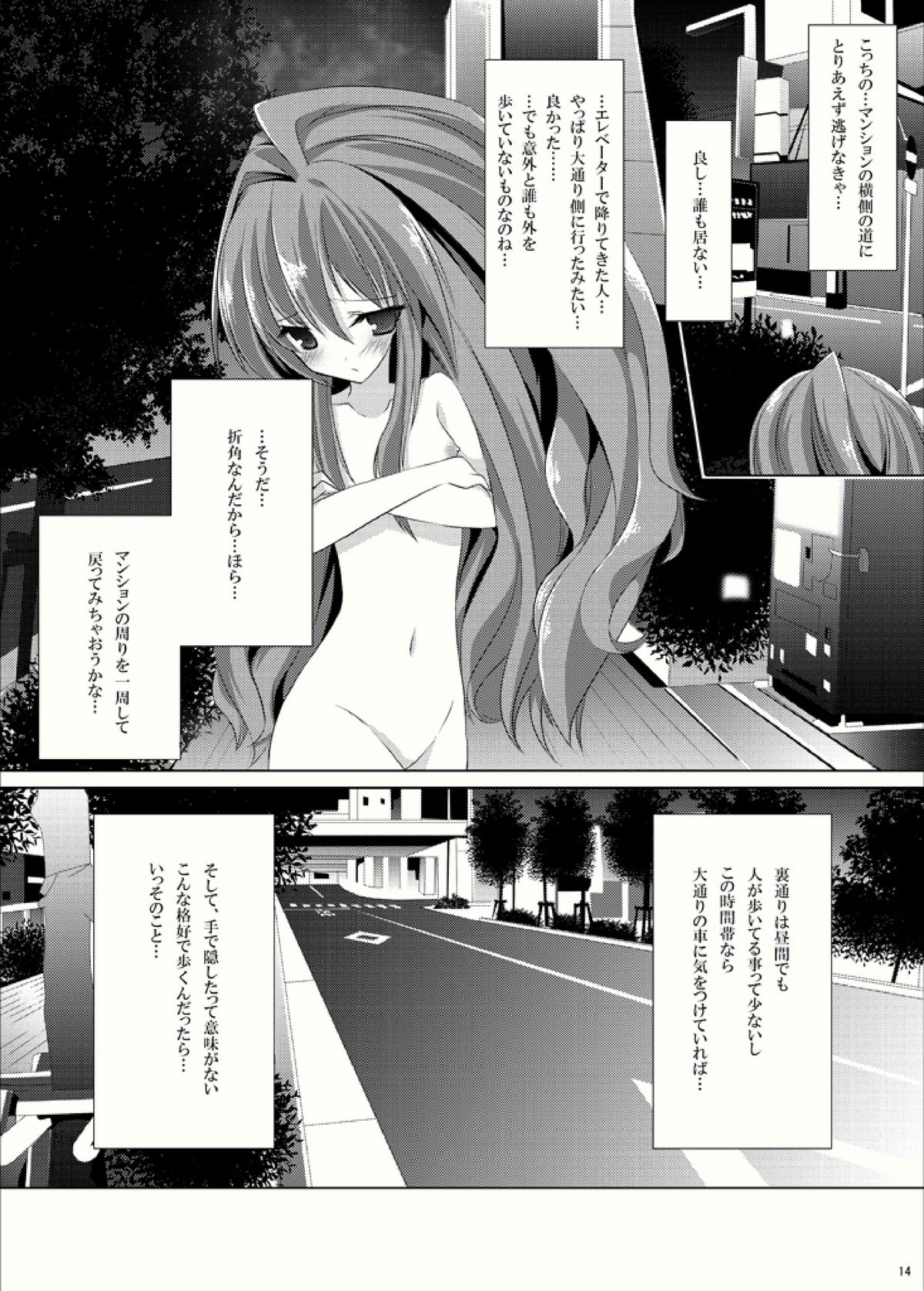 [Mint Chocolate (Himuro Kouichi, Raw)] Roshutsu Shoujo Tora (Toradora!) [Digital] page 13 full