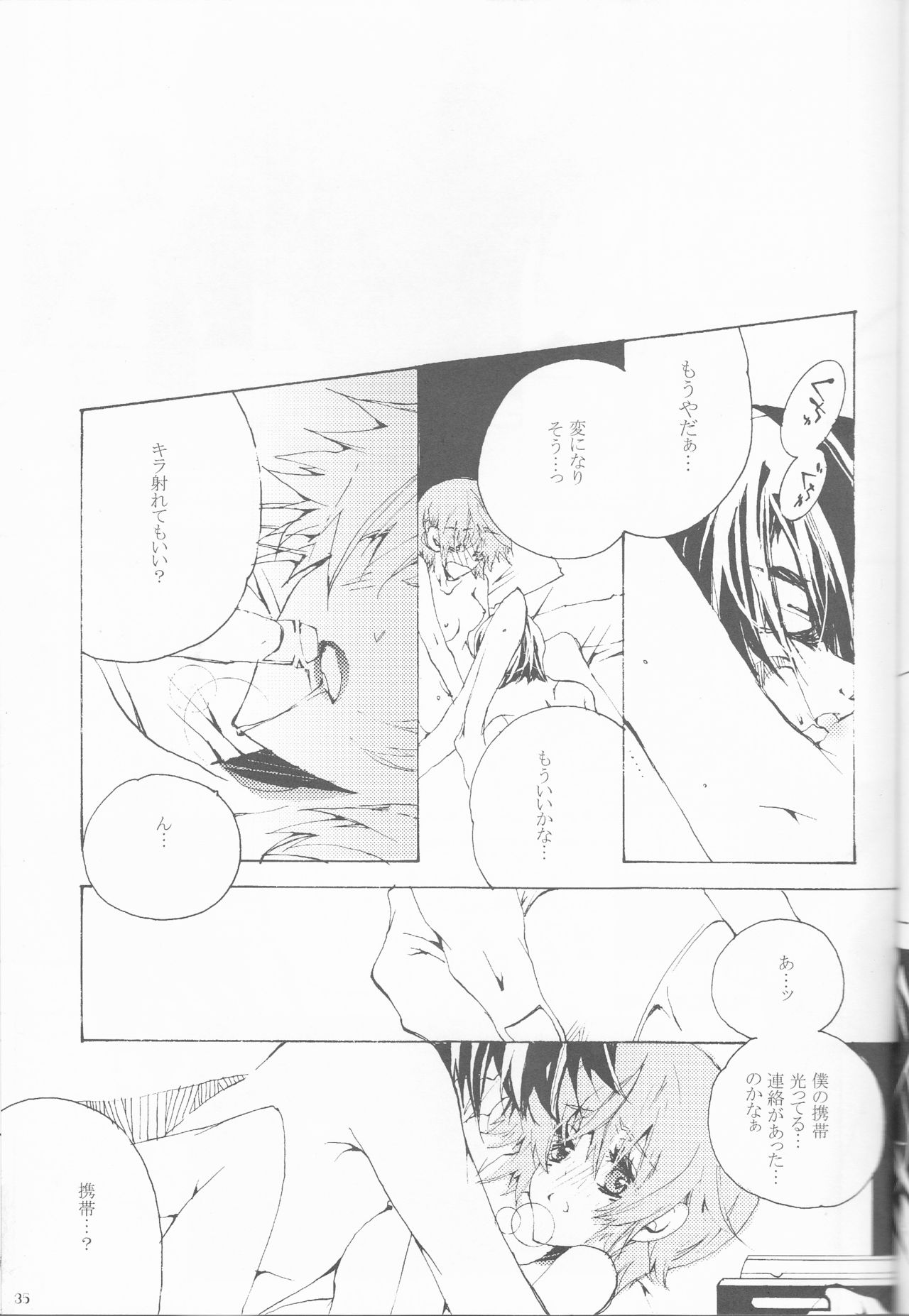 [OMEGA (Koune En)] Hoshizora Waltz (Kidou Senshi Gundam SEED DESTINY) page 35 full