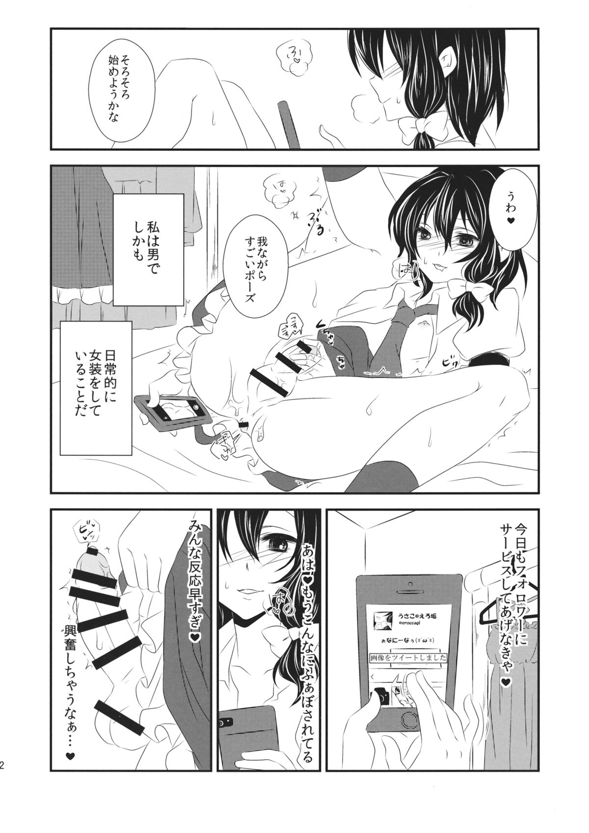 (C87) [Mimippu (Izumimipu)] Hifuu ga Otokonoko na Hon (Touhou Project) page 3 full