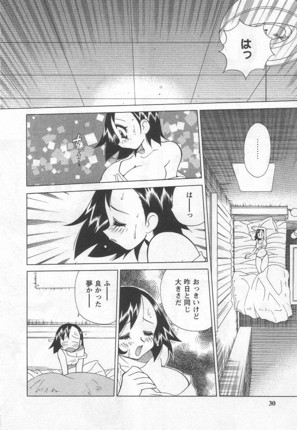 [Kawamoto Hiroshi] Kokuhou Chichi Musume Chami page 30 full