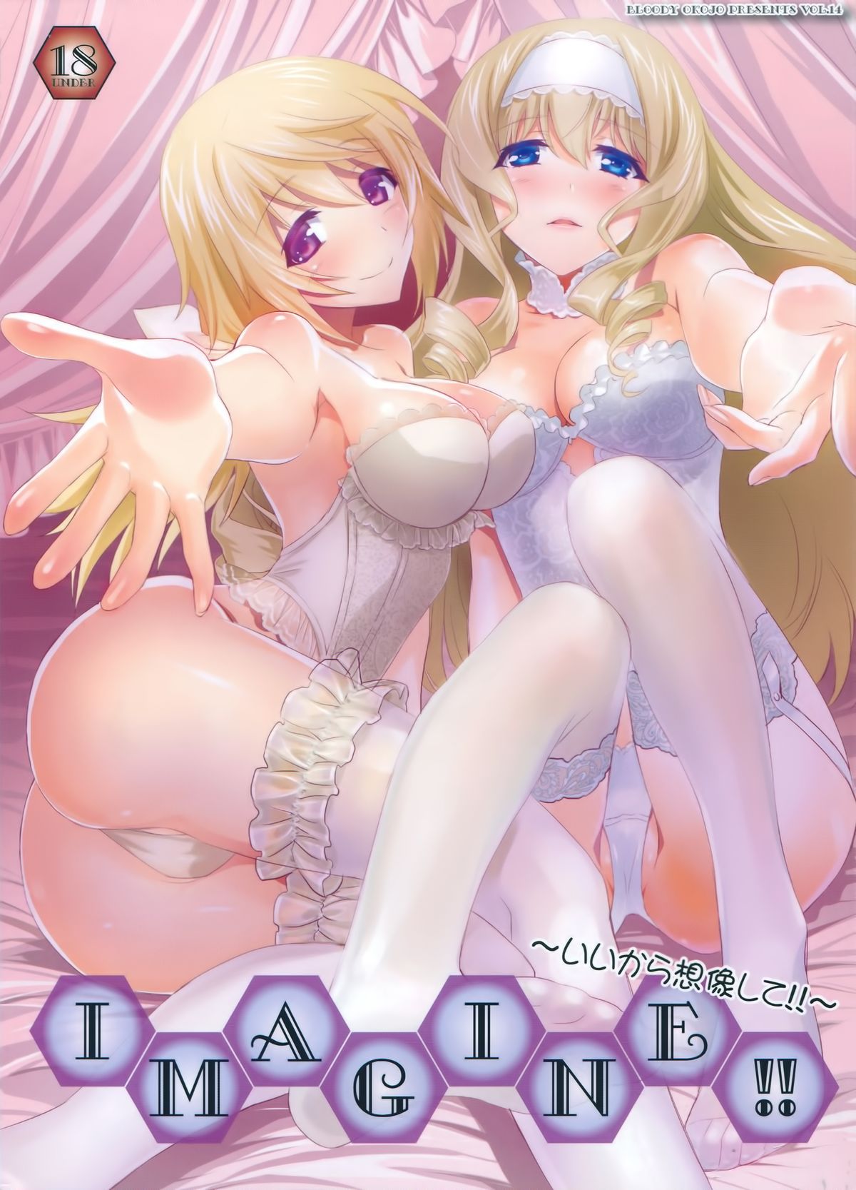 (COMIC1☆8) [Bloody Okojo (Akutagawa Manbou)] IMAGINE!!～Iikara Souzou Shite!!～ (Infinite Stratos) [Chinese] [无毒汉化组] page 2 full