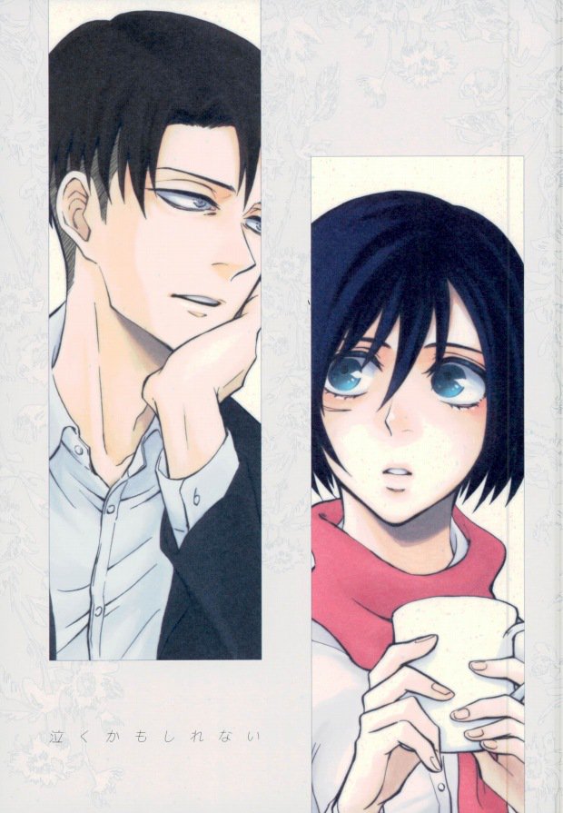 (Dai 3 Kai Hekigai Chousa Haku) [QuintalLagosta (ebgr)] Naku Kamo Shirenai (Shingeki no Kyojin) page 1 full