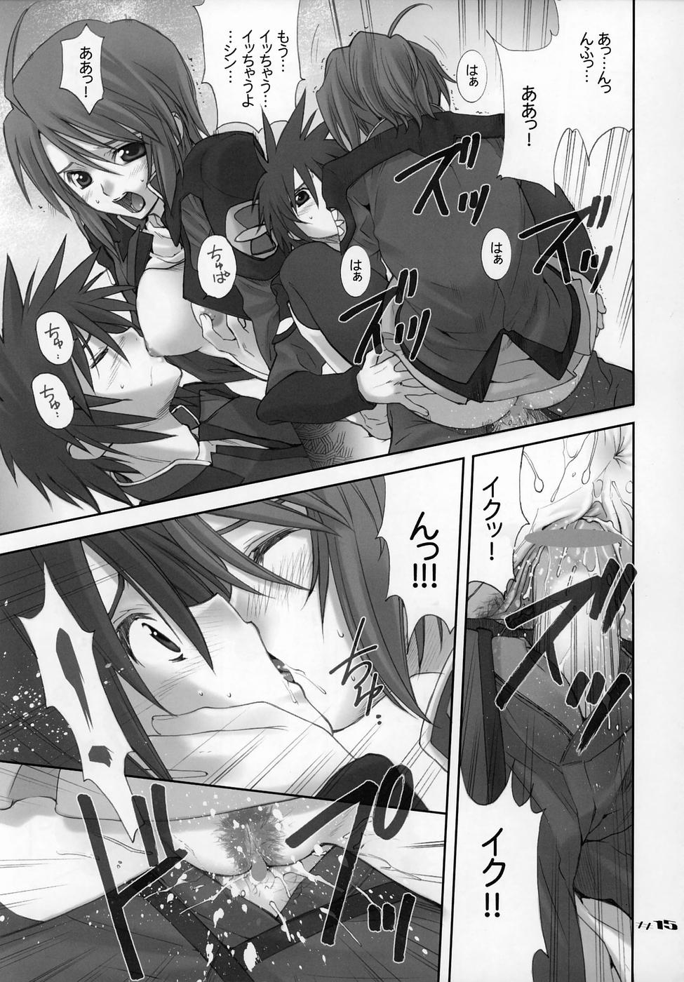 (C68) [Oh!saka Spirits (Ugeppa, Aiyama Toshikazu, Uzu)] Uganda mk2 (Gundam SEED Destiny) page 15 full