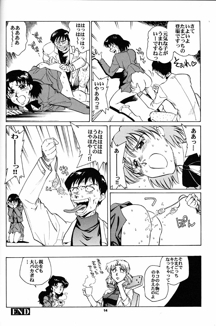 (CR21) [Okinawa Taieki Gunjinkai (Yasunaga Kouichirou)] Motto Hazukashii NERV (Neon Genesis Evangelion) page 13 full