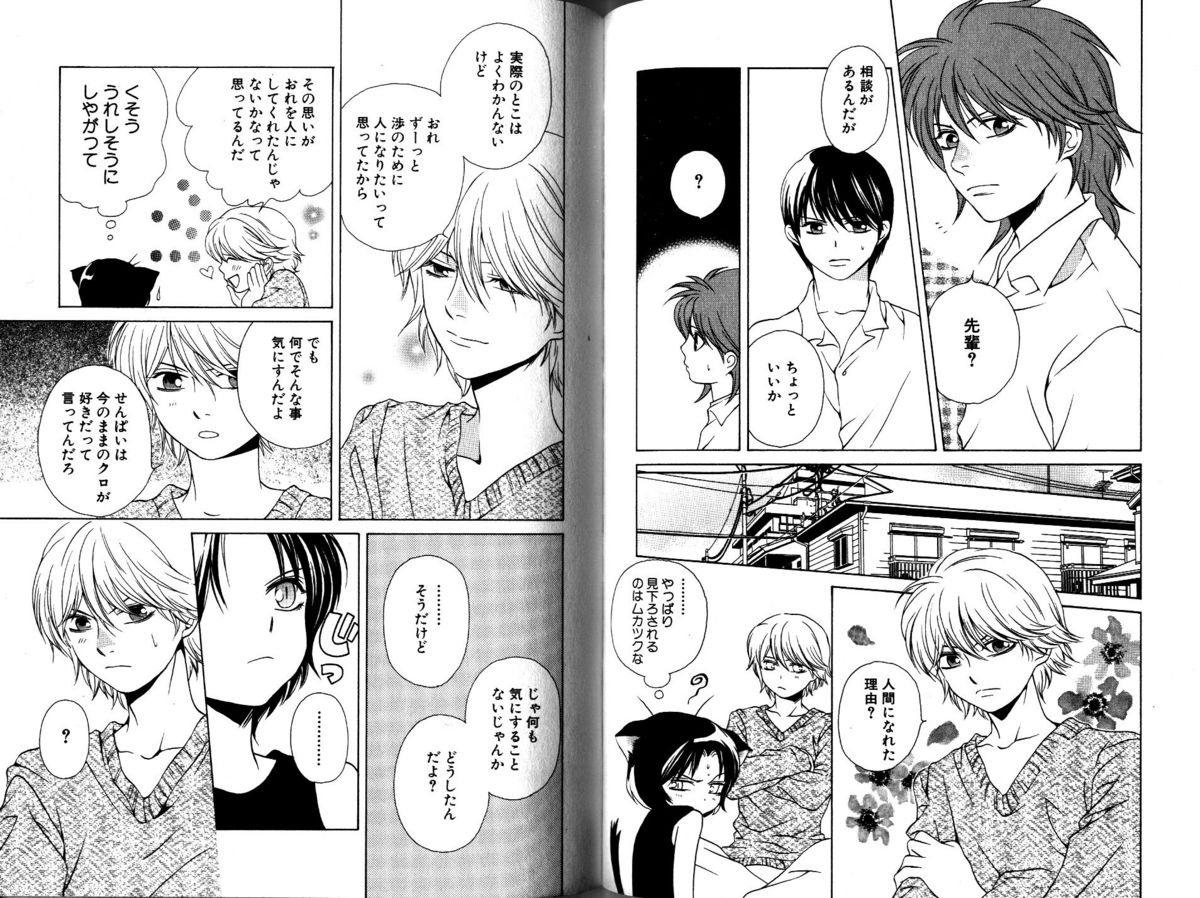 Akana Meiko - Nekokan page 62 full