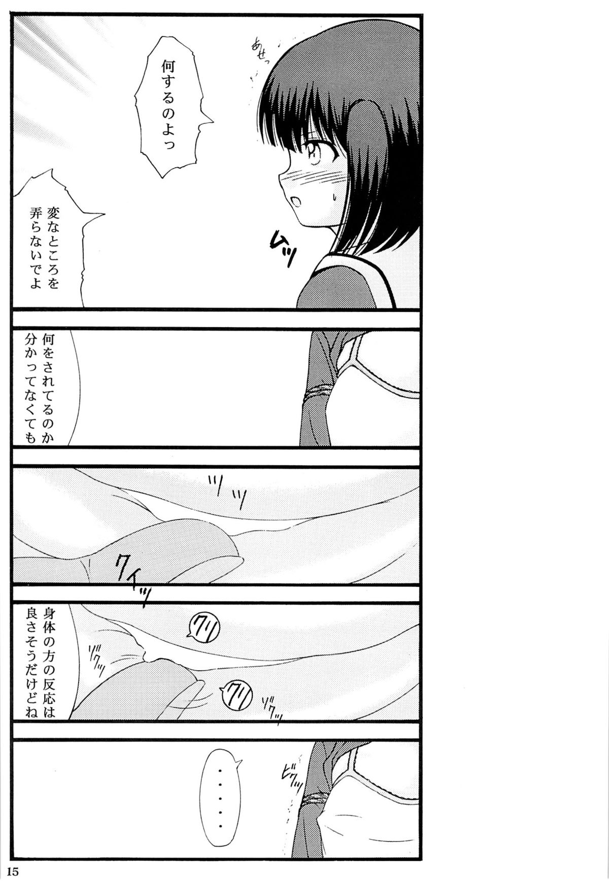 (SC2015 Winter) [Atarashiki(21)] Chuubou Kankin Graph (Gourmet Girl Graffiti) page 13 full