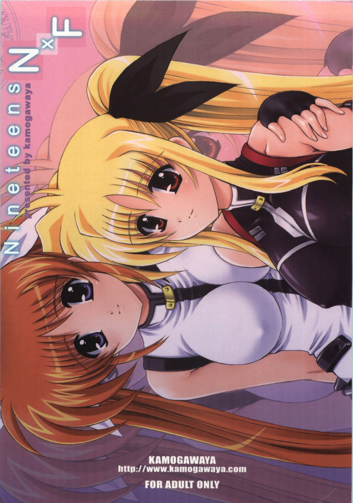 (C74) [Kamogawaya (Kamogawa Tanuki)] Nineteens NxF (Mahou Shoujo Lyrical Nanoha) page 18 full