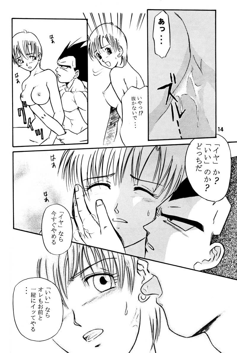 (C63) [Ryujin-kai (HITO Ribuki)] GIFT (Dragon Ball Z) page 13 full
