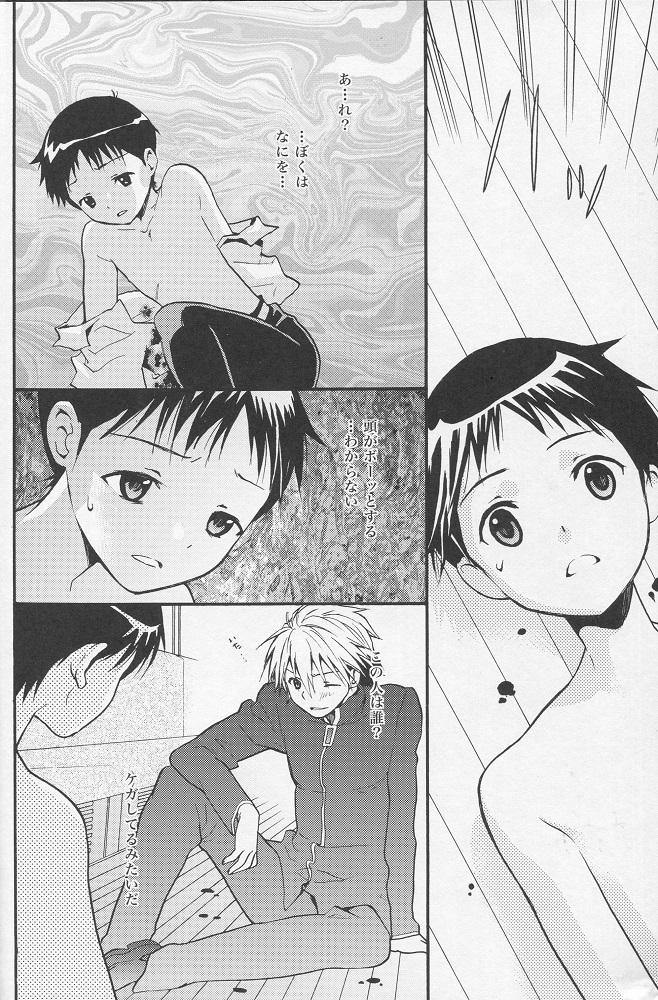 (C77) [RAYTREC (Fuyunagi Reku)] +PLUS (Neon Genesis Evangelion) page 11 full