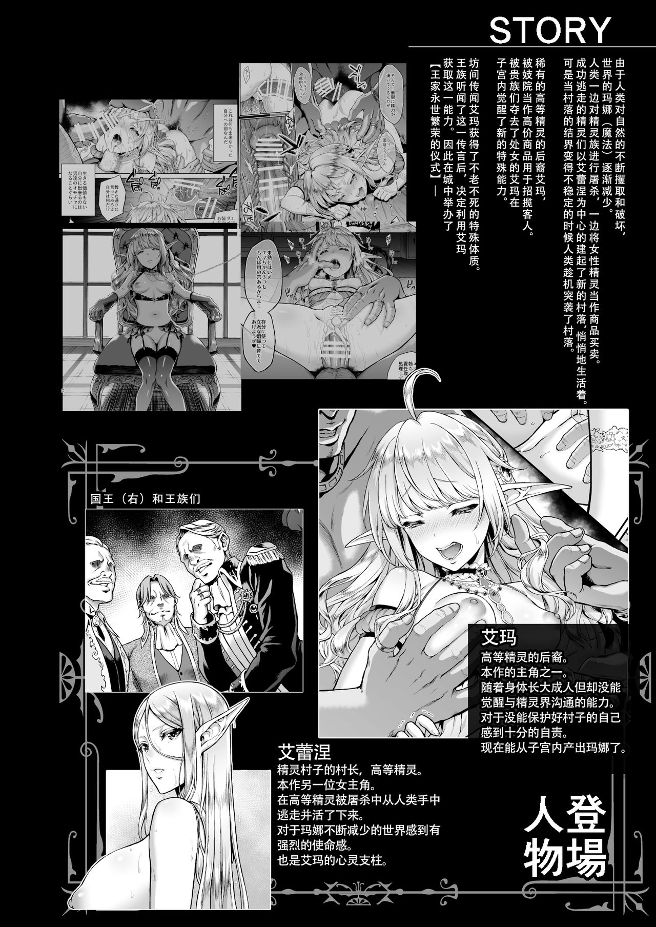 [H.B.A (Usagi Nagomu)] Tasogare no Shou Elf 6 - The story of Emma's side [Chinese] [胸垫汉化组] [Digital] page 3 full