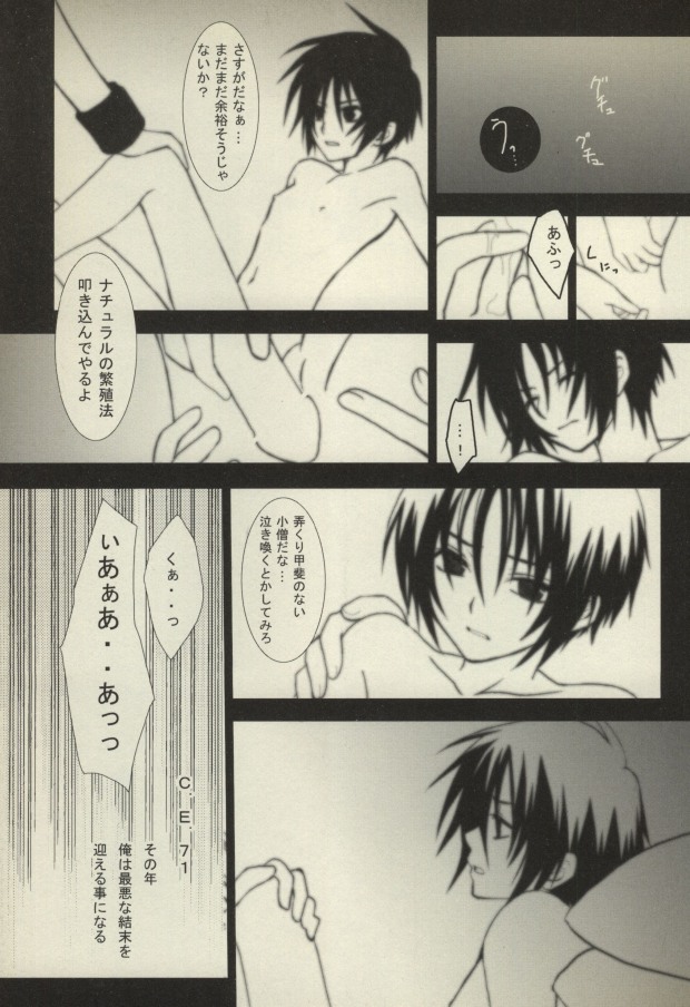 [3×3CROSS (Kamui Marimo)] Koushoku Shounen (Gundam SEED DESTINY) page 24 full