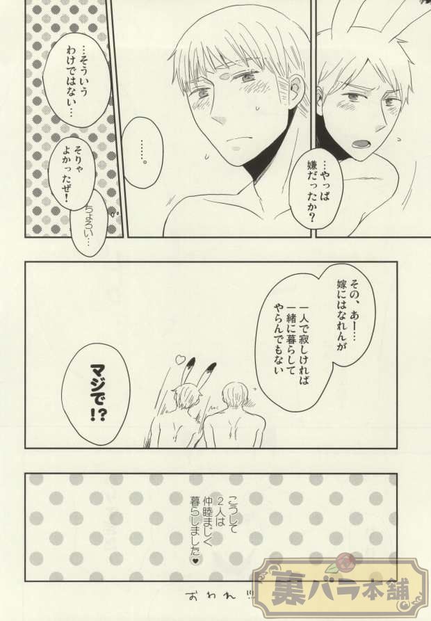 (C86) [88 (hinoe)] Usagi no Kimochi (Axis Powers Hetalia) page 19 full