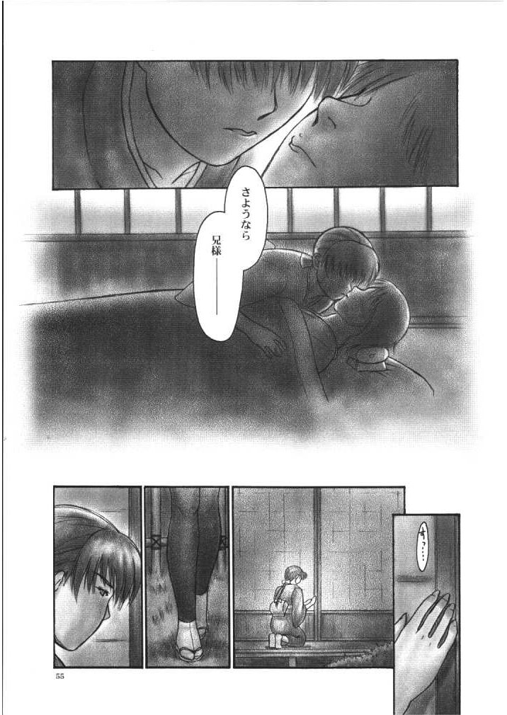 (C66) [Hellabunna (Iruma Kamiri)] INU/Intimacy (Dead or Alive) page 53 full