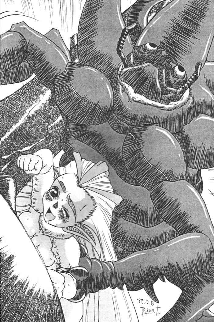 (C56) [Acid Noel (Mitsuki Rintarou)] Midnight Neurotic Report (Berserk) page 11 full