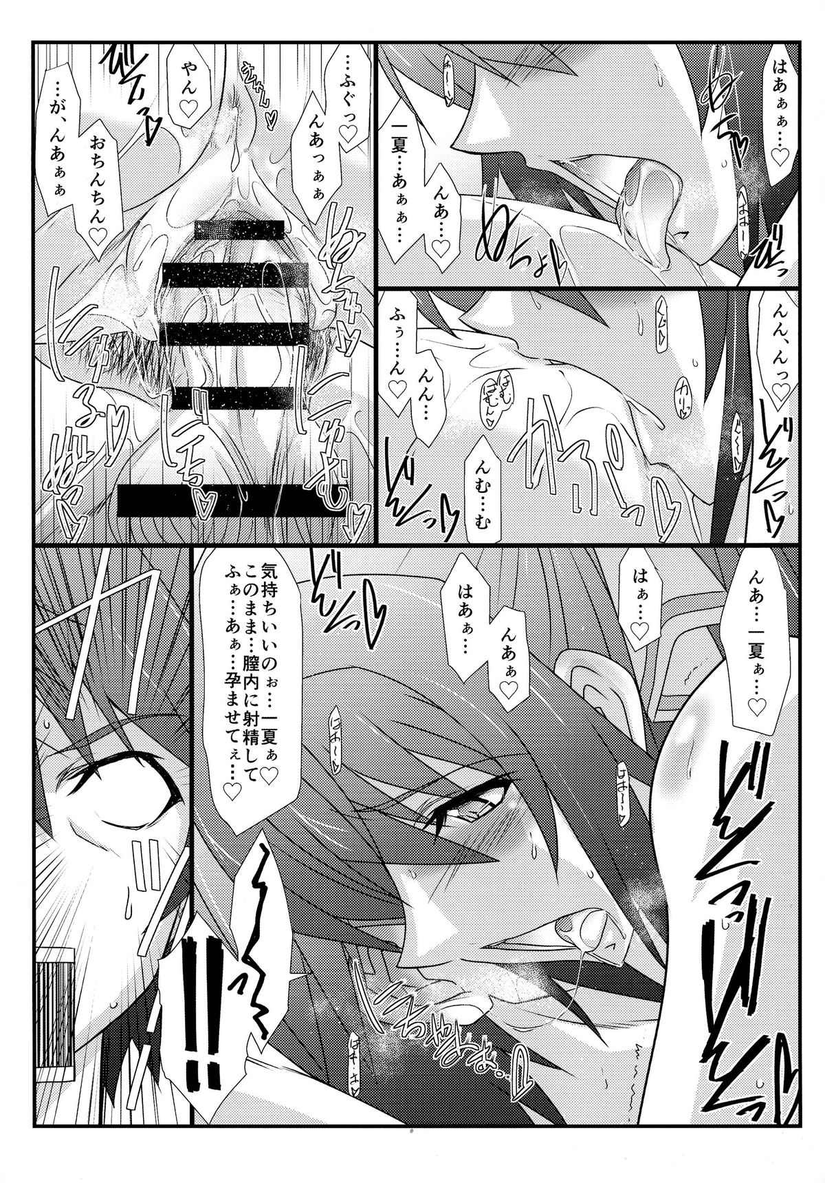 (C85) [STUDIO TRIUMPH (Mutou Keiji)] Astral Bout Ver. 27 (IS <Infinite Stratos>) page 14 full