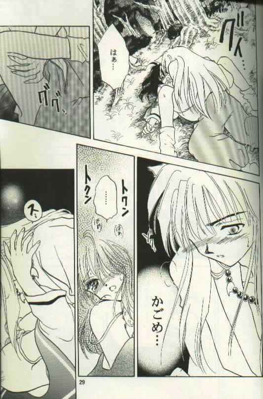 [Totsuzen Kikakutou] Aidaro!? Ai (Inuyasha) page 13 full