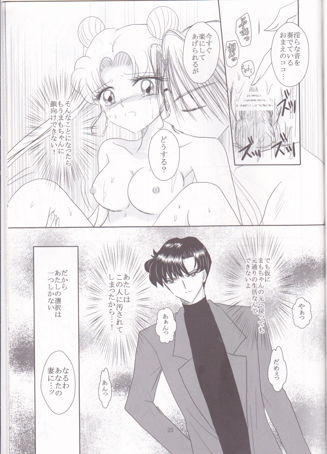 (C82) [MoE (Eiri)] Kuroi Tsuki ni Michibikare (Sailor Moon) page 25 full