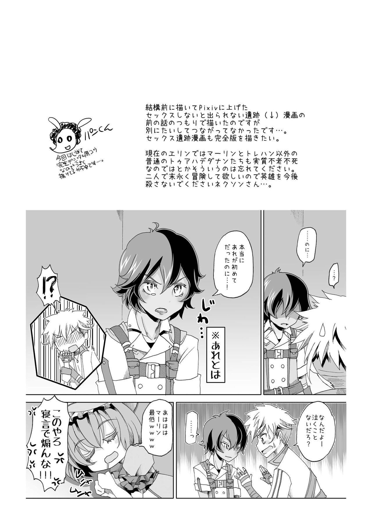 [hariwata (Tsuwabuki Raishi)] Kimi to Ikusen no Yoru o Sugosou (Mabinogi) [Digital] page 25 full