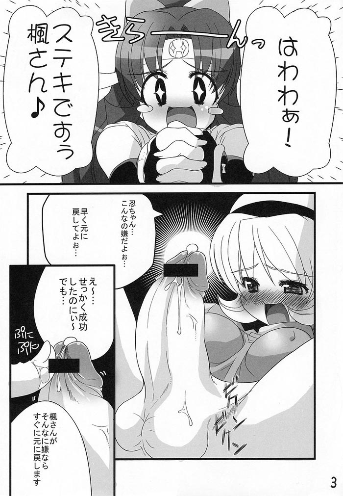 [Z-TABUKURONEKO HOUSE (Gyonikun)] Ninpou Ranchiki Sawagi (2x2 shinobuden) page 2 full