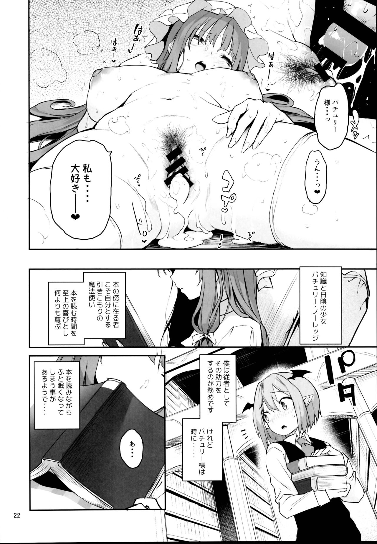 (C95) [Anmitsuyomogitei (Michiking)] Inemuri Jouzu no Daitoshokan (Touhou Project) page 22 full