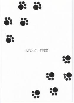 (CR33) [BLACK DOG (Kuroinu Juu)] STONE FREE (Jarinko Chie) [Chinese]
