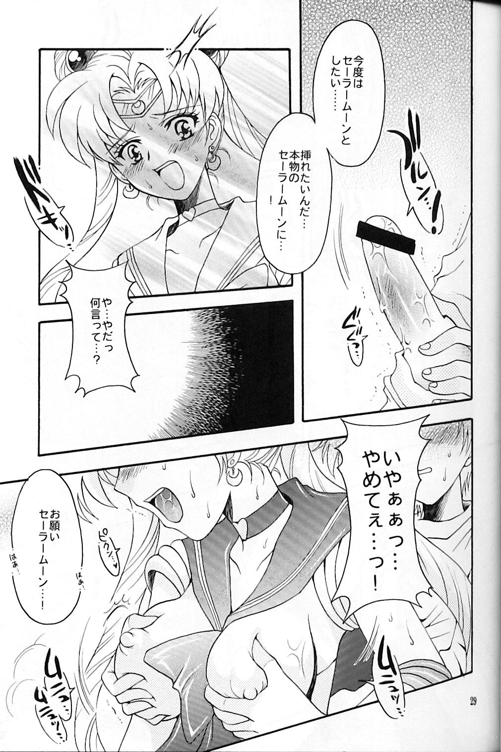 (C67) [Kotori Jimusho (Sakura Bunchou)] chanson de I'adieu (Sailor Moon) page 30 full