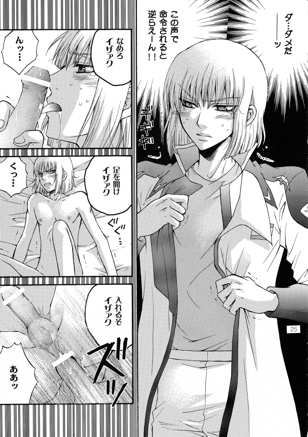 (HaruCC12) [Kozouya (Eiki Eiki, Zaou Taishi)] Kujibiki Destiny (Gundam SEED DESTINY) page 24 full