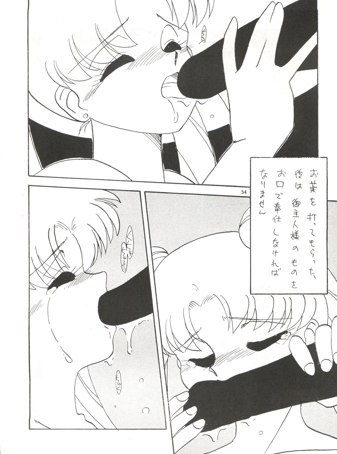 (C45) [Ariari no Nashinashi (Wave)] Side Story Ver. 3.01 (Bishoujo Senshi Sailor Moon) page 53 full