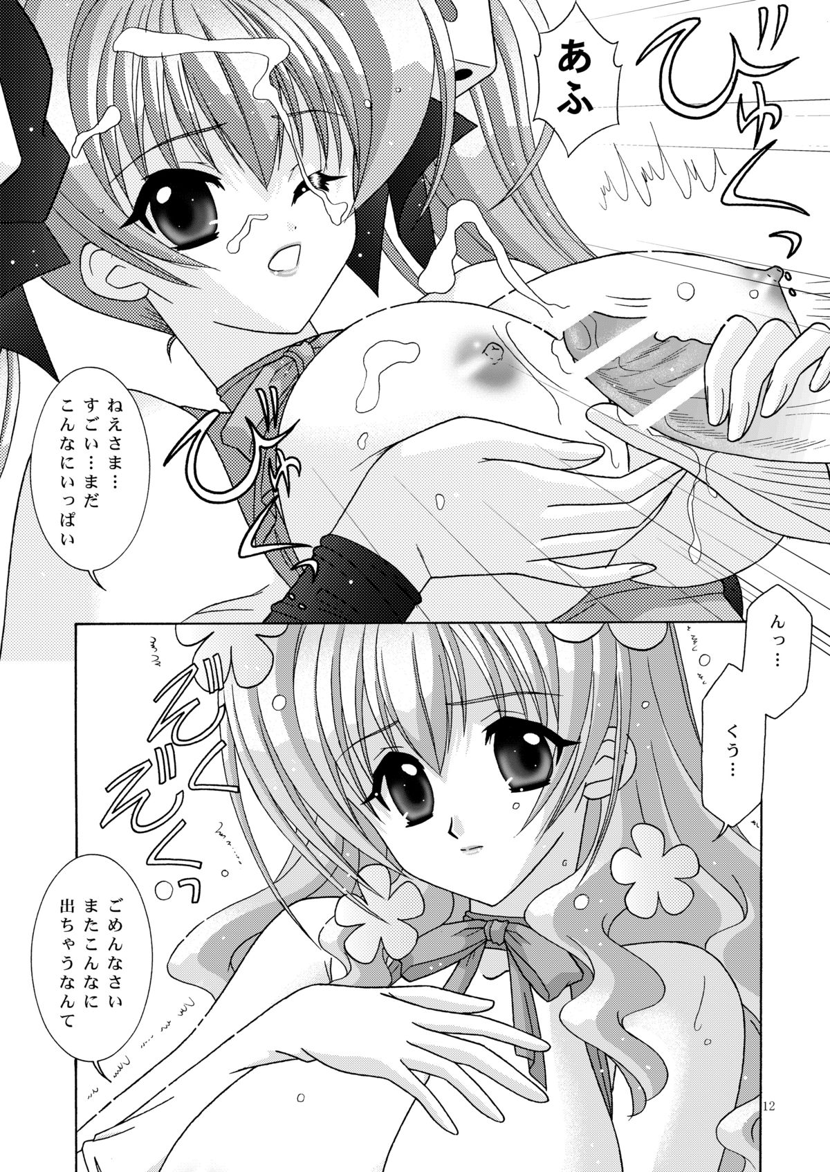 (C66) [Bousou!! Fuhatsudan (Takai Biki)] BOOB×BOOB 3 (Digi Charat) page 12 full
