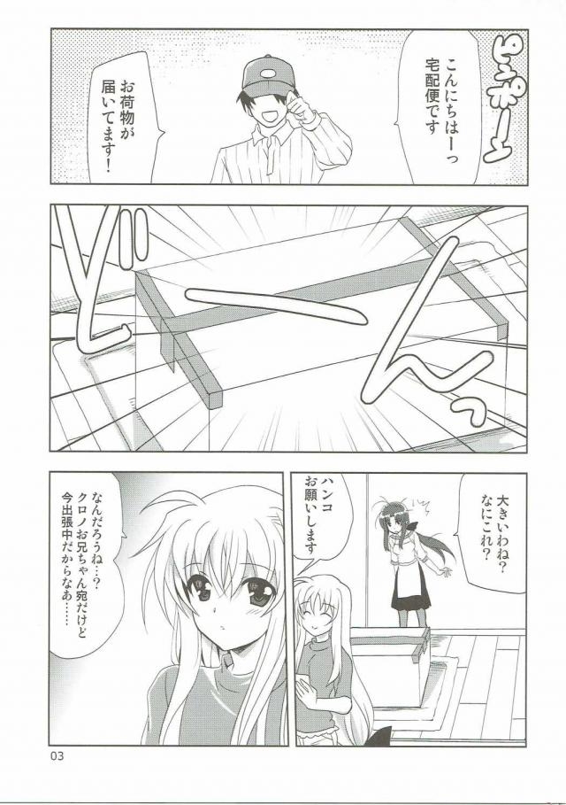 (SC2016 Autumn) [PLUM (Kanna)] Magical SEED Pillow (Mahou Shoujo Lyrical Nanoha) page 2 full