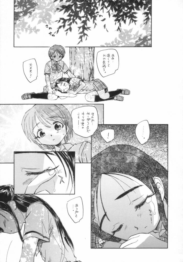 (C66) [Kuroshikatei (Unno Hotaru)] precure dakara hinnyuu bon (Futari wa Precure) page 12 full