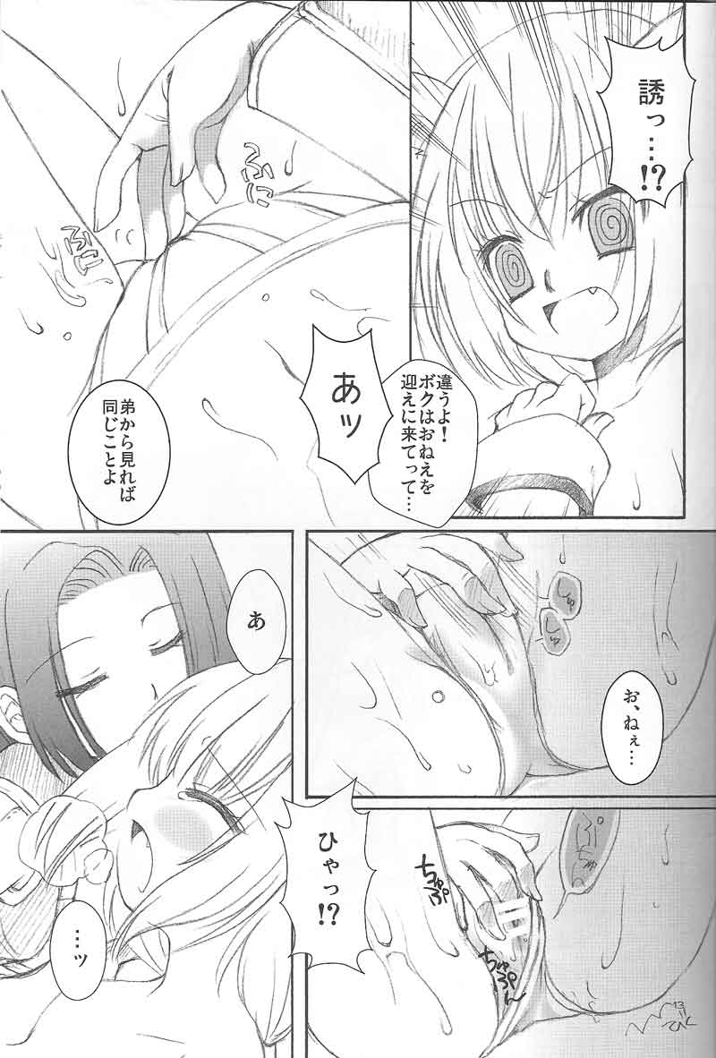 (C73) [chaotic_prism (Asato)] Fuusui Inoshishi (Final Fantasy XI) page 12 full