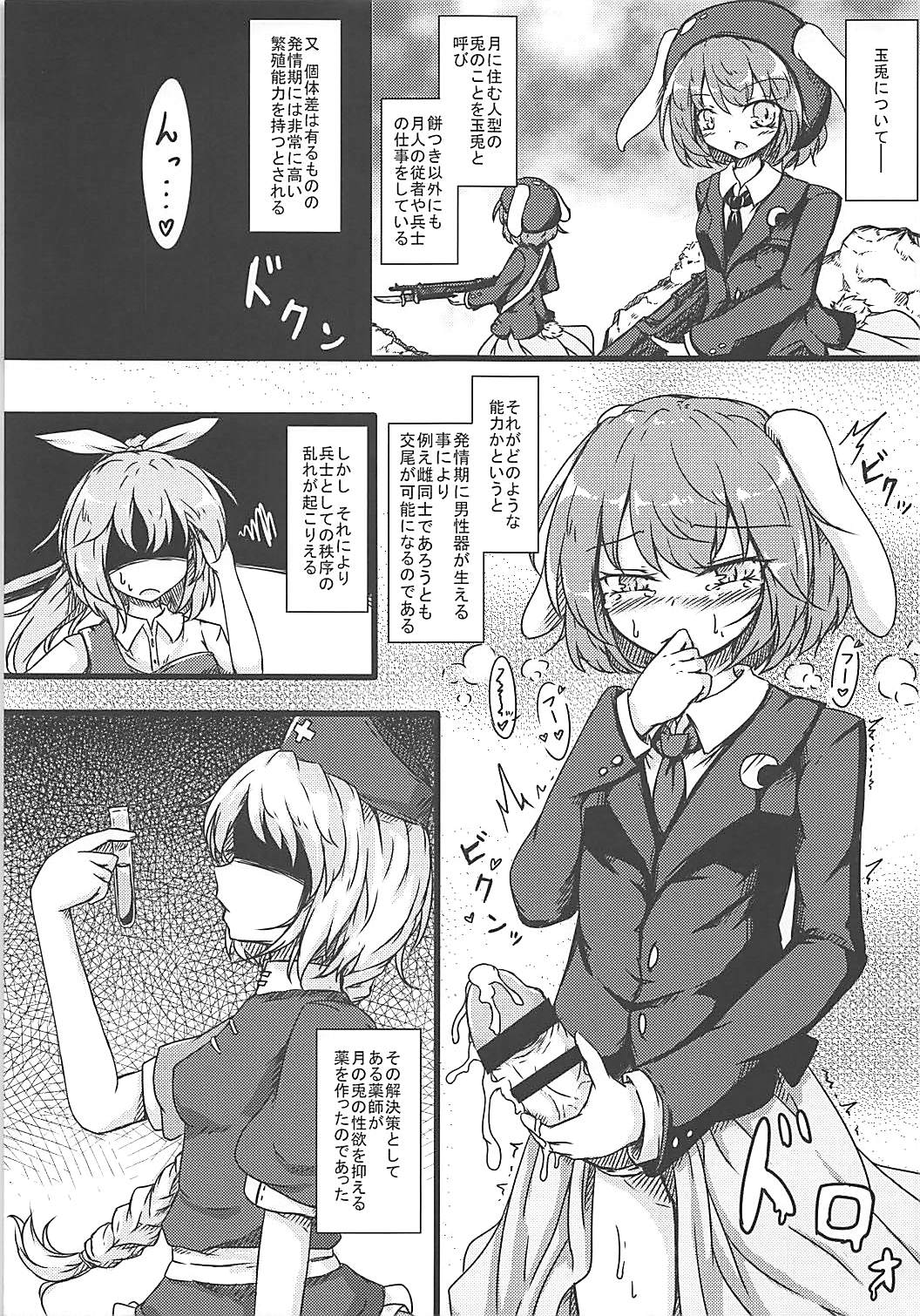 (C91) [Sinkirou (Dyon)] Ijou Seiyoku Usagi -Asagiiro no Ringogari- (Touhou Project) page 4 full