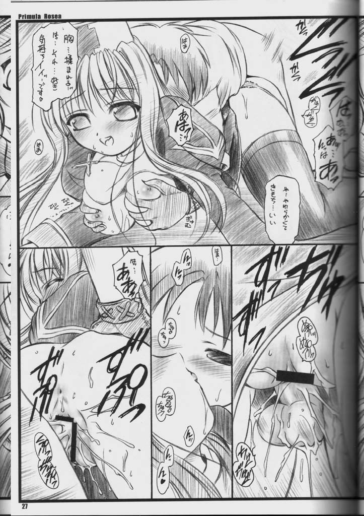 (C65) [Yakan Hikou (Inoue Tommy)] PRIMULA Rosea (Ragnarok Online) page 26 full