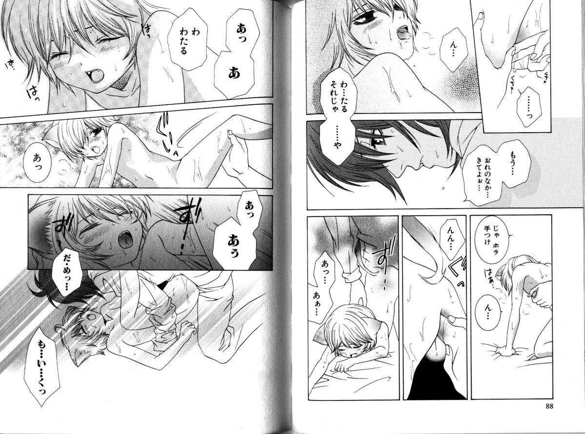 Akana Meiko - Nekokan page 47 full