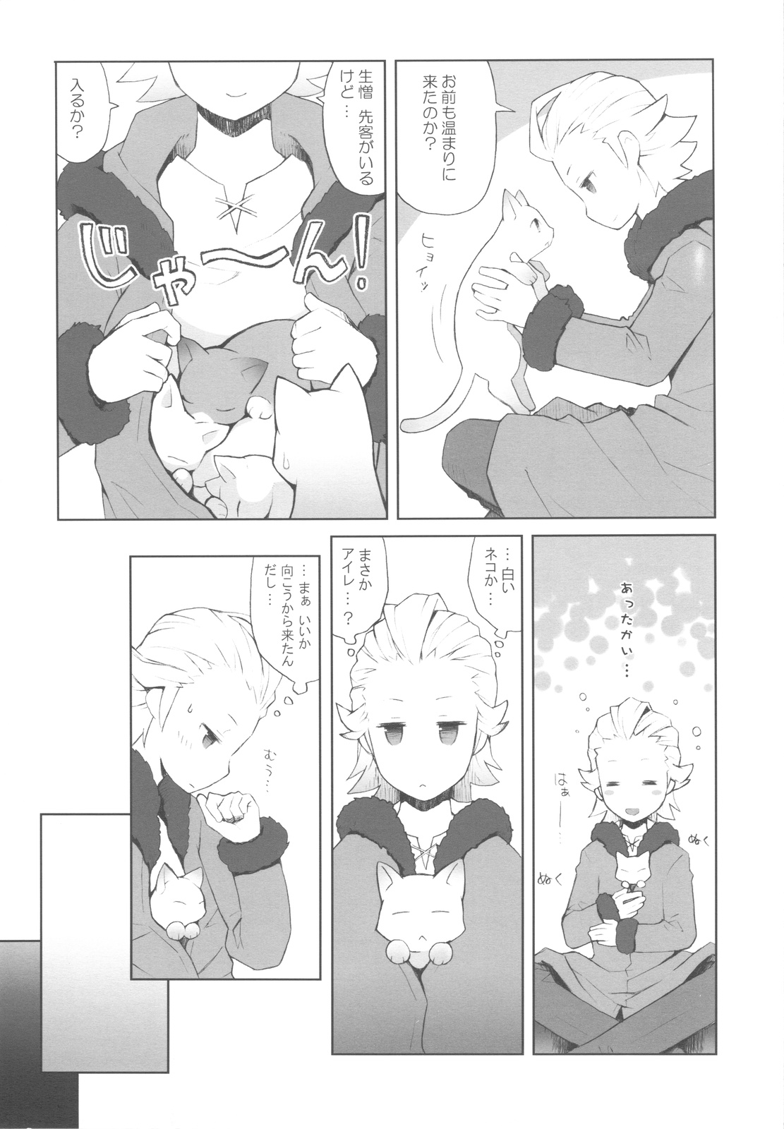 (COMIC1☆4) [Bakuhatsu BRS. (B.Tarou)] Cat Princess (Final Fantasy Gaiden) page 9 full