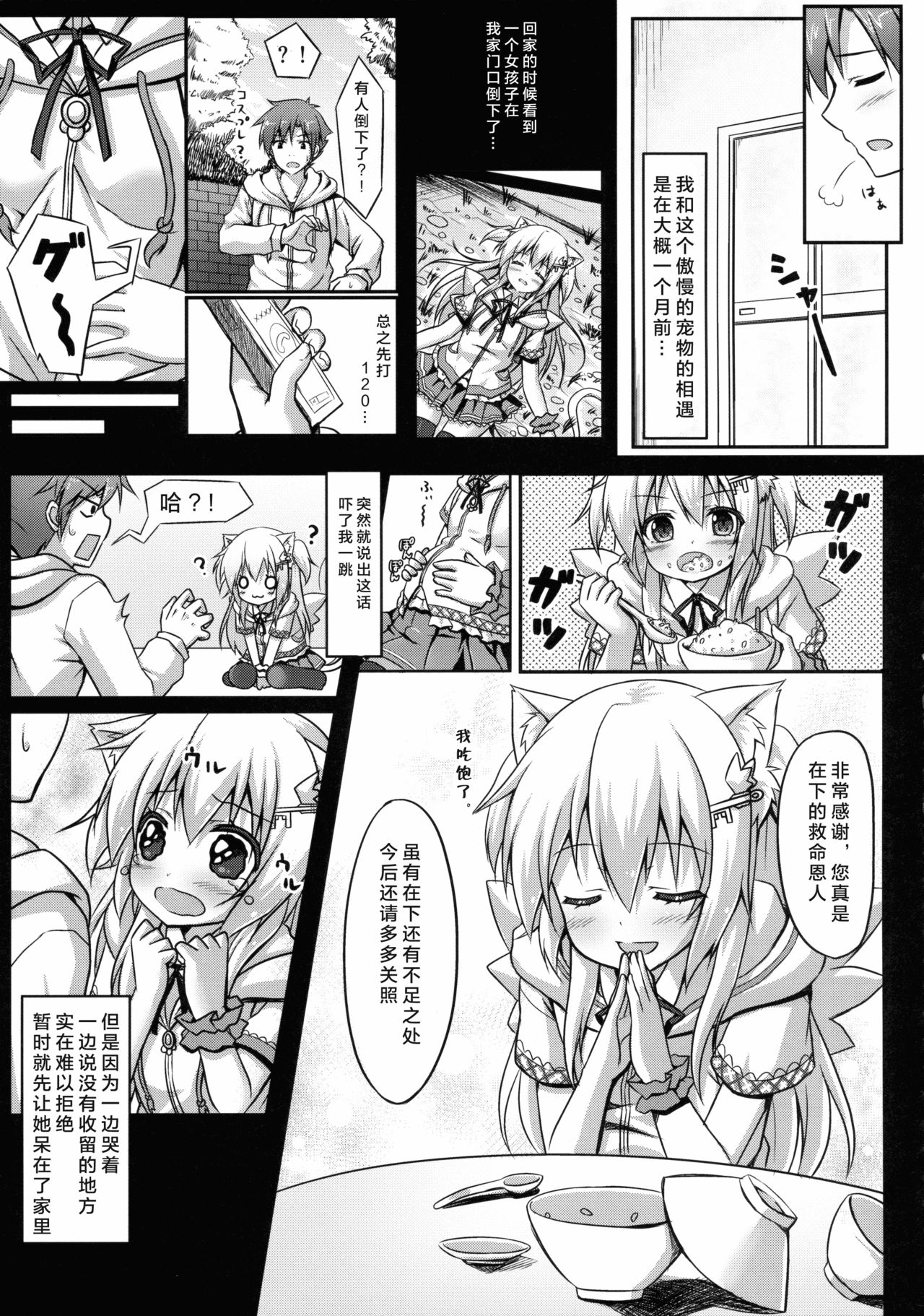 (C85) [Animal Herb (Yano Mitsuki)] Uchi no Pet Jijou [Chinese] [绅士仓库汉化] page 7 full