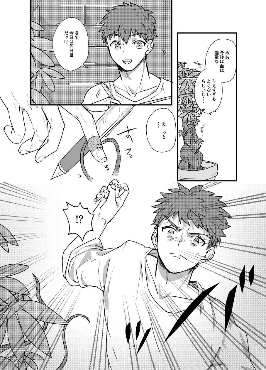 [Microbeurre (Kohata Tsunechika)] Ah! Shirou-kun Abunai (Fate/stay night) [Digital] page 13 full