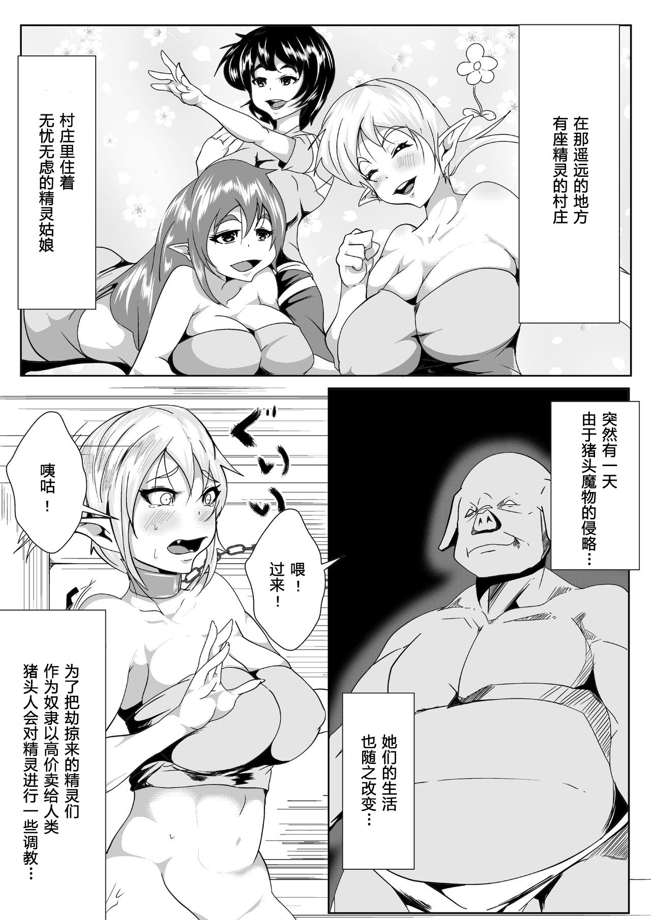 [AKYS Honpo] Jirasare Elf no Choukyou Nikki [Chinese] [八十万禁书教头汉化] page 2 full