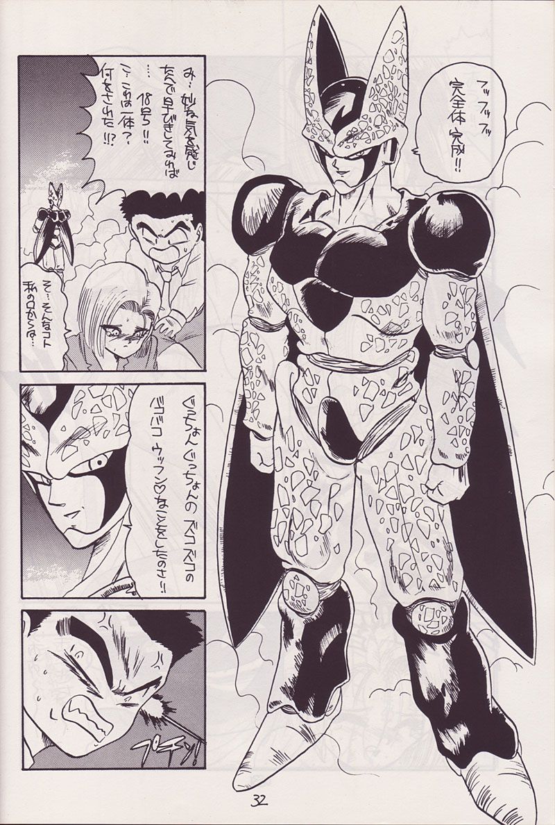 (CR14) [Kokuryuukigun (Various)] P-ARK (Dragon Ball Z) [Incomplete] page 13 full