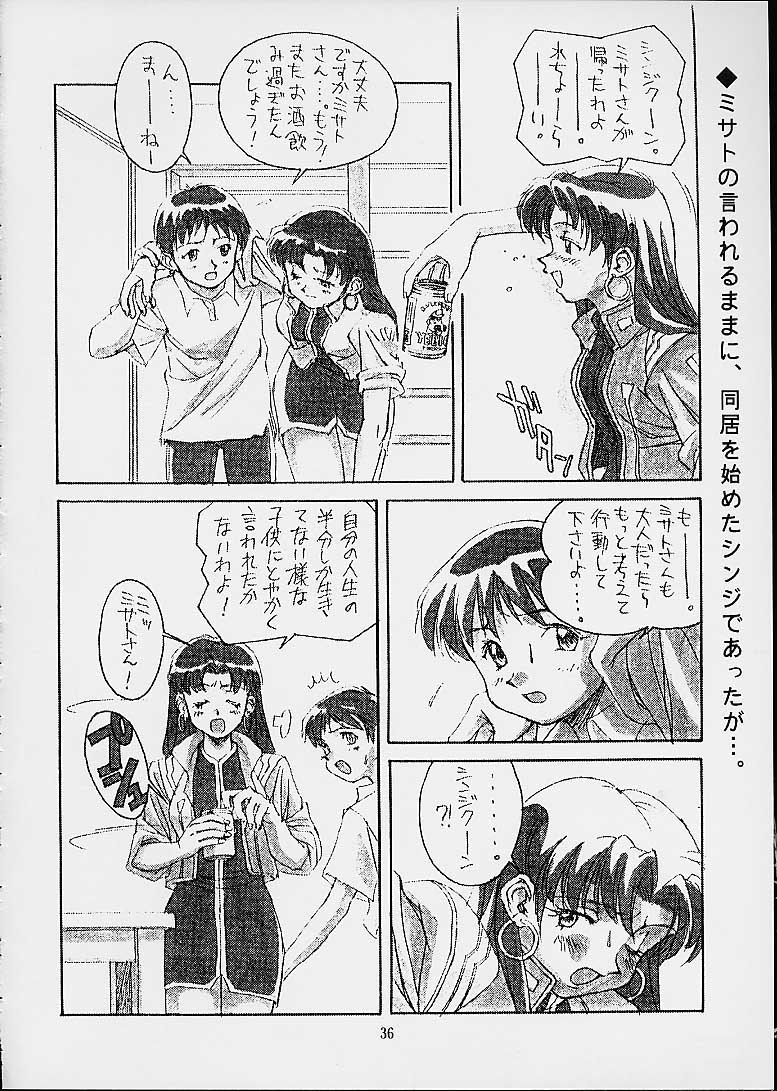 (CR29) [DOUDANTSUTSUJITOMONOKAI (Doudantsutsuji)] Tsutsuji Museum 2 Doudantsutsuji Dai-ni Sakuhinshuu (Evangelion, Sentimental Graffiti) page 35 full