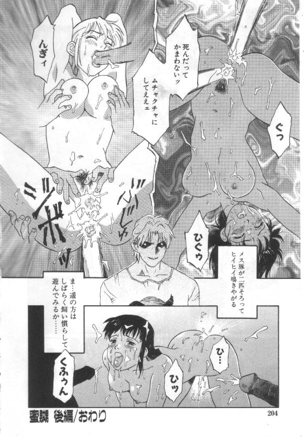 [Yamanobe Kitta] Etsuai -Ane to Imouto - page 203 full