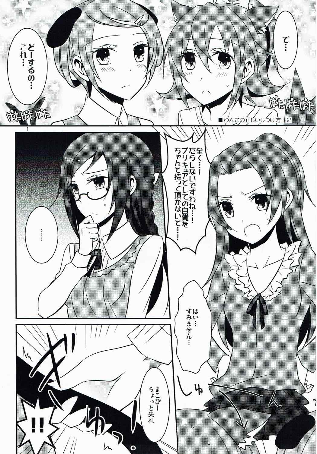 (C85) [434 Not Found (isya)] Wanko no Tadashii Shitsuke Kata 2 (Dokidoki Precure) page 2 full