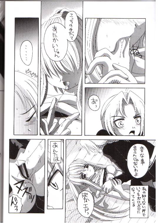 (SC23) [Yukimi Honpo (Asano Yukino)] Important (Fullmetal Alchemist) page 17 full