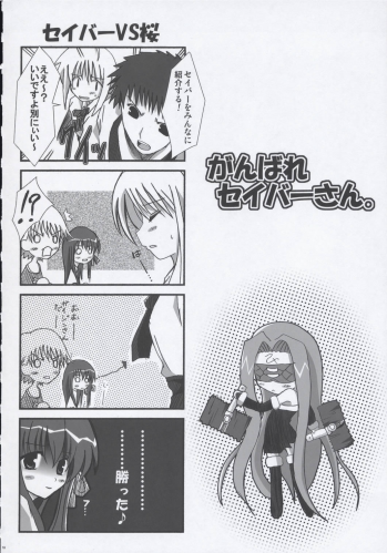 (SC24) [TAROTS (Sawano Akira)] THE MOON (Fate/stay night) - page 17