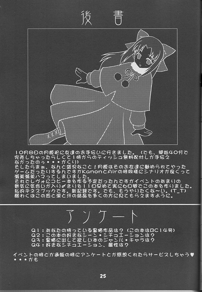 [Studio Black Cats (Tsumori (AZR) Minato)] Black Cats 14 Hanten Kuroneko Musume (Tsukihime) page 24 full