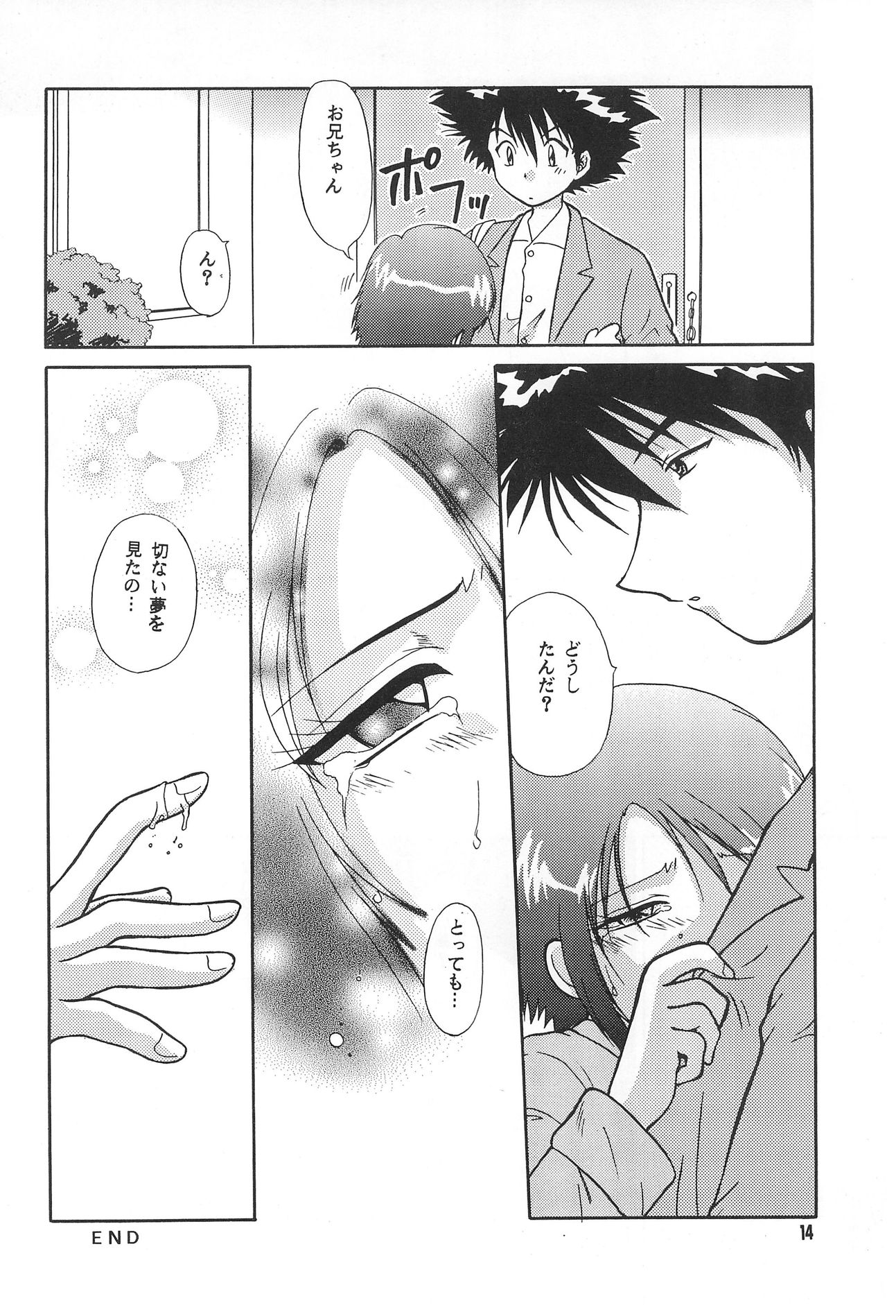 (C58) [SHEEPCLOUD (Hitsujiko)] Digital Syndrome (Digimon Adventure 02) page 16 full
