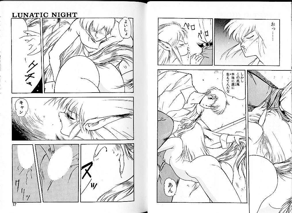 [Mii Akira] Lunatic Night 1 page 12 full