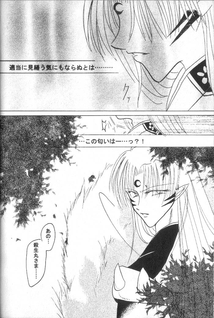 (SUPER12) [Hero Hero Honpo (Kamiryou Kaduki)] ETERNAL MOON (InuYasha) page 13 full