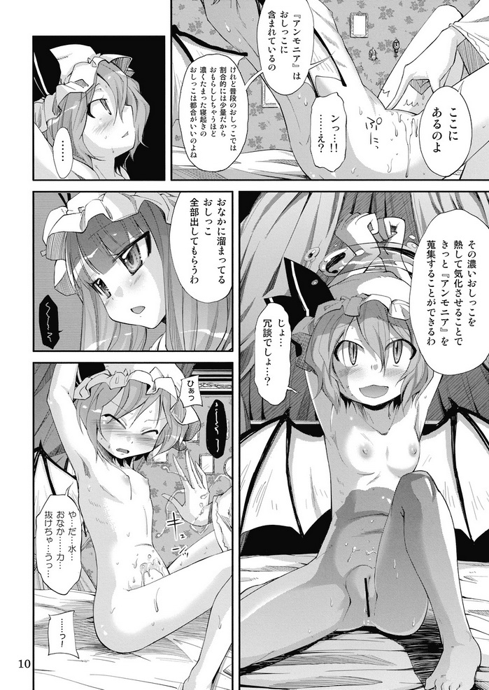 (C74) [Kurage no candume (Yoshino)] NH3 (Touhou Project) page 10 full